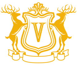 Vega Coin